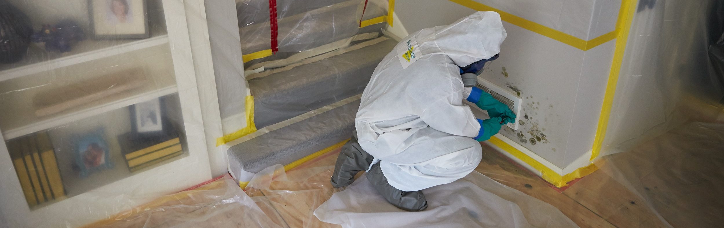 Mold remediation, mold abatement, mold restoration services for your home  or business