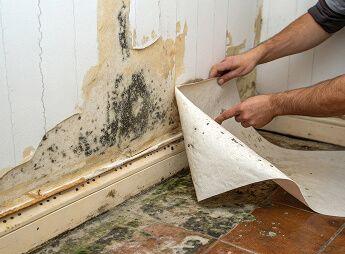 Peeling paint caused by hidden moisture behind walls in a Chicago home.