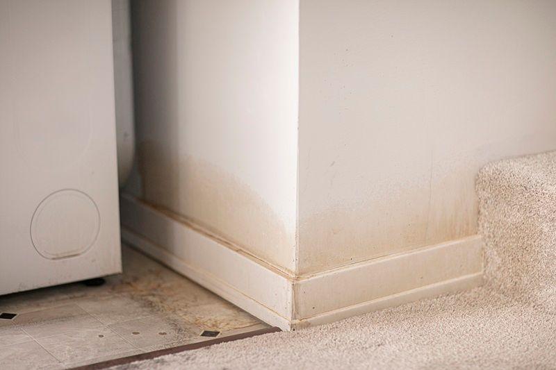 Subtle signs of water damage in a home