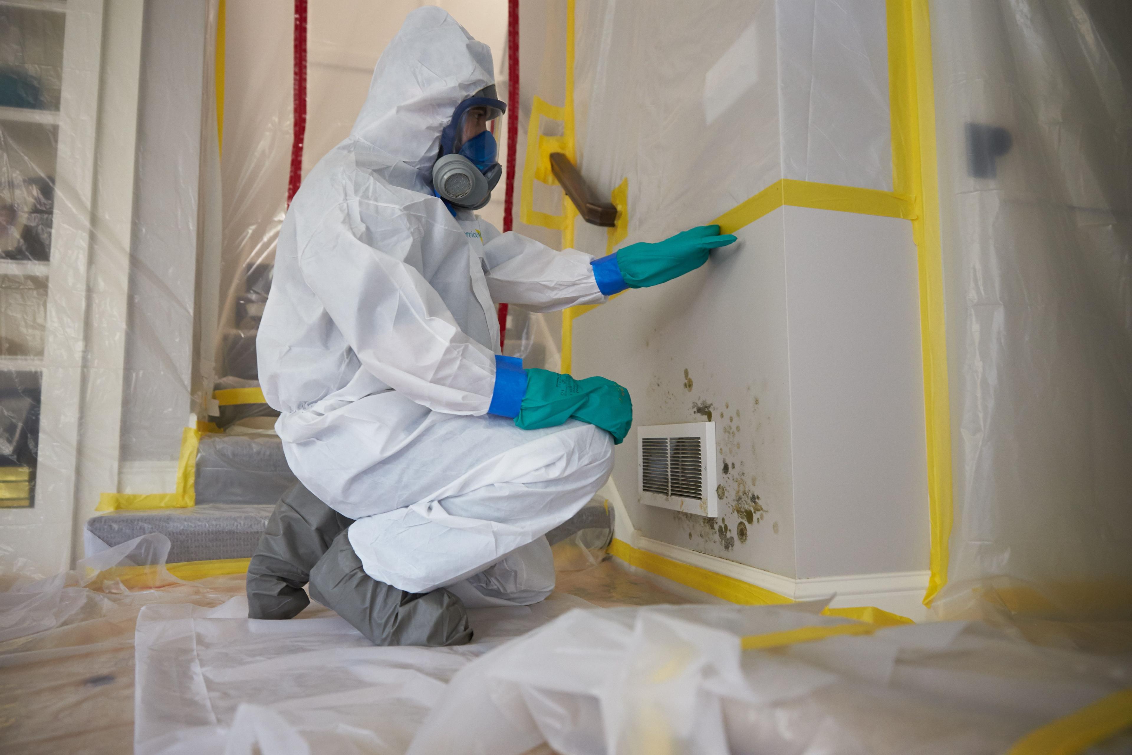 Mold Remediation Services - ServiceMaster Restoration By Simons