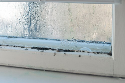 How to Reduce Condensation in Your Home - ServiceMaster ...