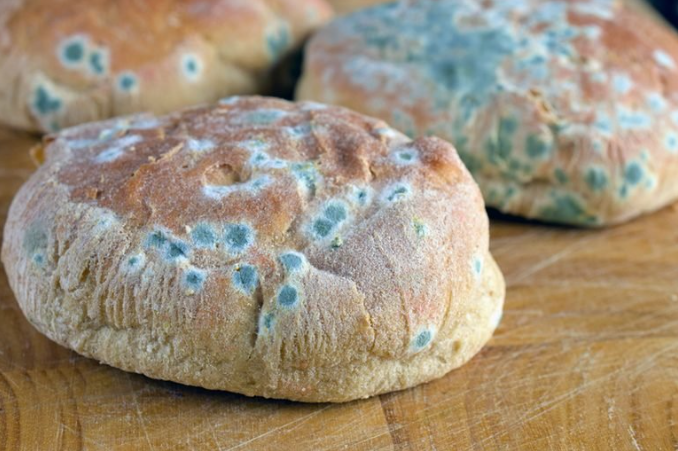 What Happens If You Eat Moldy Bread?